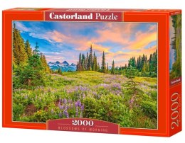 Castor Puzzle 2000 elementów Górska polana Blossom of Morning