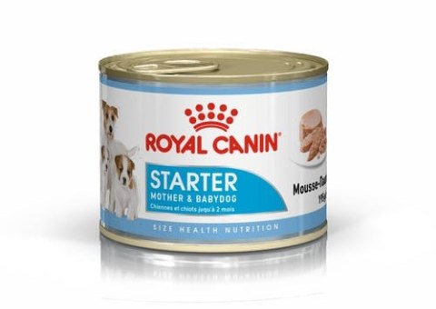 ROYAL CANIN FBN Persian Adult w formie pasztetu - mokra karma dla kota dorosłego - 12x85g