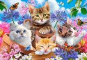 Castor Puzzle 500 elementów Kotki w kwiatach