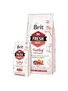 BRIT Fresh Beef & Pumpkin Puppy Large Growth & Joints - sucha karma z wołowiną i dynią dla szczeniąt ras dużych - 12 kg