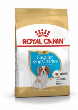 ROYAL CANIN BHN Cavalier King Charles Spaniel Puppy - sucha karma dla szczeniąt - 1,5 kg