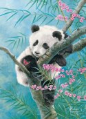 Castor Puzzle 500 elementów Panda Babusowe sny