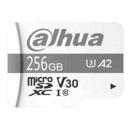Karta pamięci Dahua P100 microSD 256GB