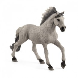 Schleich Figurka Koń Mustang Ogier Rasy Sorraia