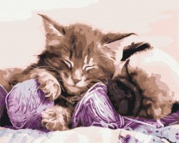 Symag Obraz Paint it! Malowanie po numerach. Kot i pies