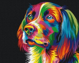 Symag Obraz Malowanie po numerach - Pies w kolorach