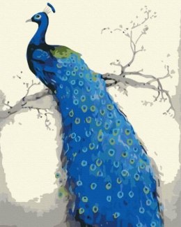 Symag Obraz Malowanie po numerach - Niebieski paw