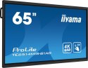 IIYAMA Monitor wielkoformatowy 65 cali TE6514MIS-B1AG INFRARED,50pkt,VA,4K,7H,WiFi,MIC,USB-C