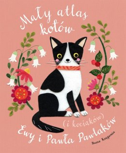 Nasza księgarnia Mały atlas kotów i kociaków
