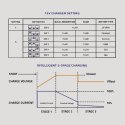 Qoltec Inteligentna ładowarka Monolith do akumulatorów LiFePO4 AGM GEL SLA | 20A | 12V