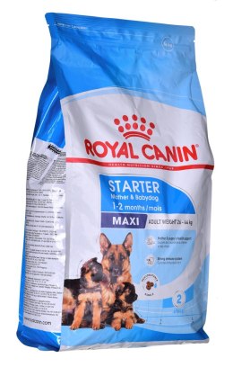 ROYAL CANIN SHN Maxi Starter Mother & Babydog - sucha karma dla psa - 4 kg