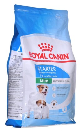ROYAL CANIN SHN Mini Starter Mother & Babydog - sucha karma dla psa - 4 kg