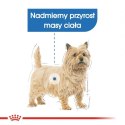 Royal Canin CCN MINI LIGHT WEIGHT CARE - sucha karma dla psa dorosłego - 3kg