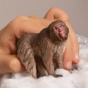 Schleich Figurka makak japoński Wild Life