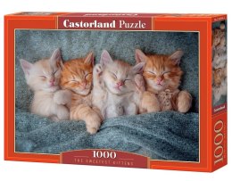 Castor Puzzle 1000 elementów Słodkie kotki