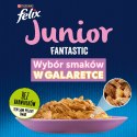 FELIX Fantastic Junior Kurczak, Łosoś - mokra karma dla kociąt - 4x85g