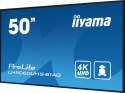 IIYAMA Monitor wielkoformatowy 49.5 cala LH5060UHS-B1AG matowy 24h/7 500(cd/m2) VA 3840 x 2160 UHD(4K) Android.11 Wifi CMS(iiSignage2)