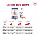 ROYAL CANIN SHN Maxi Adult 5+ - sucha karma dla psa dorosłego - 15 kg