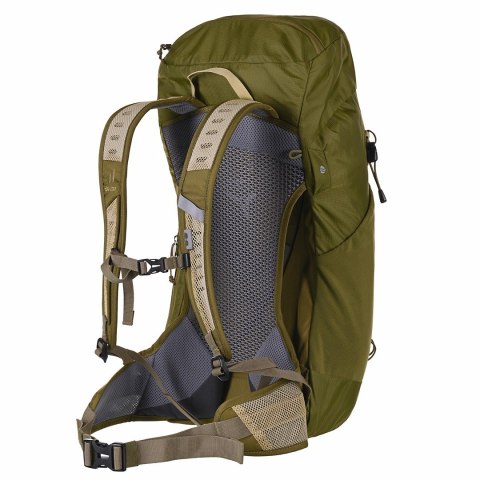 Plecak turystyczny Deuter AC Lite 30 linden-cactus