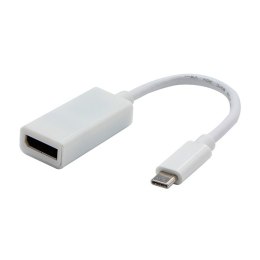 USB/Video DP Alt Mode, USB C (M) - DisplayPort F, biały, 4K2K@30Hz 65507, EOL