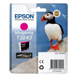 Epson oryginalny ink / tusz C13T32434010, magenta, 14ml